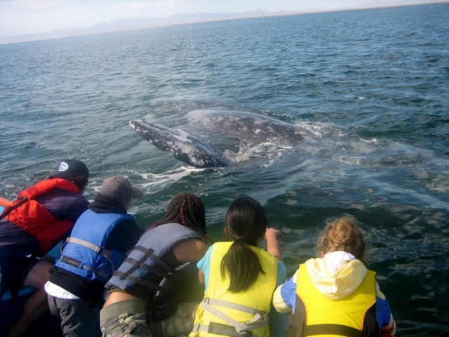 Una experiencia inolvidable